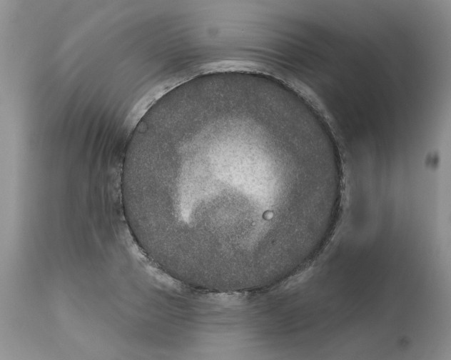 X0000113180937200909251438