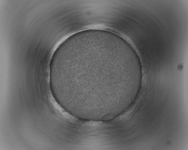 X0000113180939200909251438