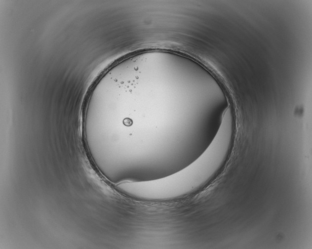 X0000113180940200909251438