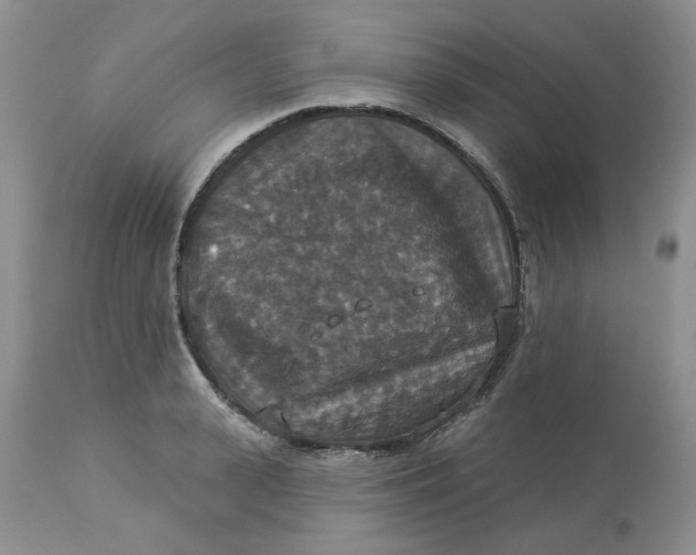X0000113180943200909251438
