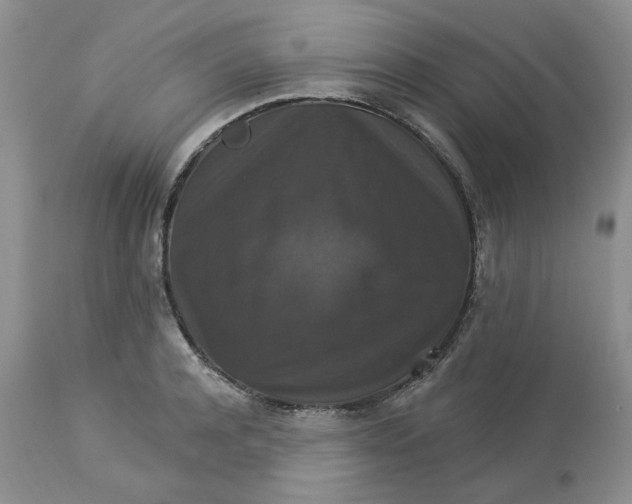 X0000113180944200909251438