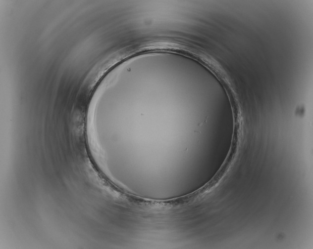 X0000113180945200909251438