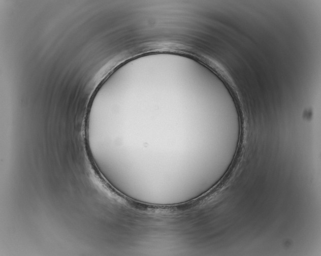 X0000113180946200909251438