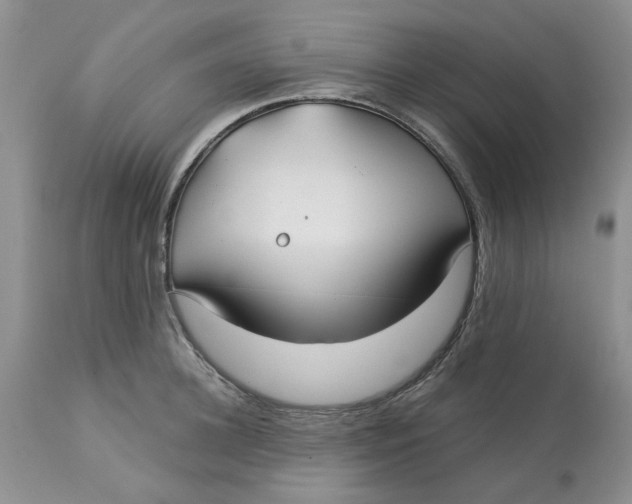 X0000113180948200909251438