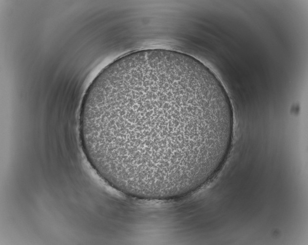 X0000113180949200909251438