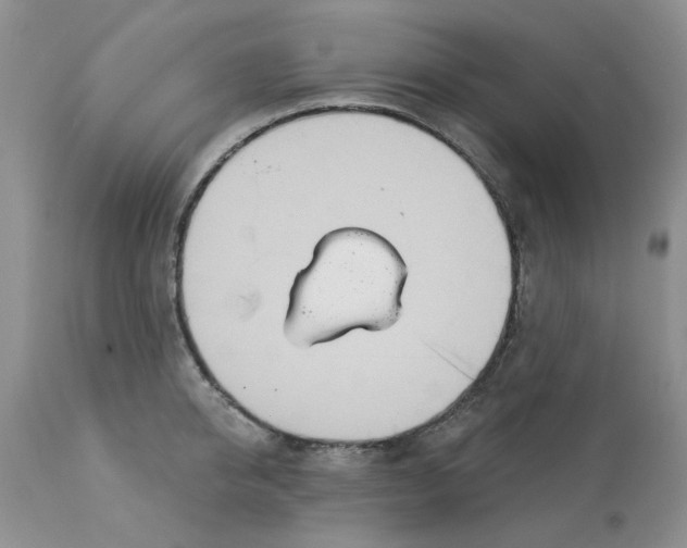 X0000113180950200909251438