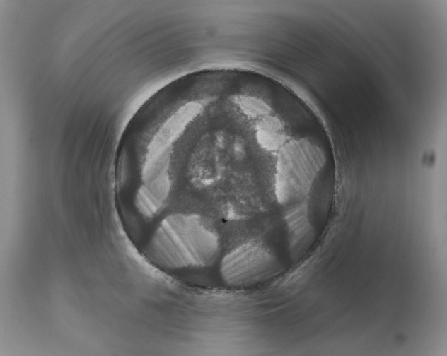 X0000113180951200909251438