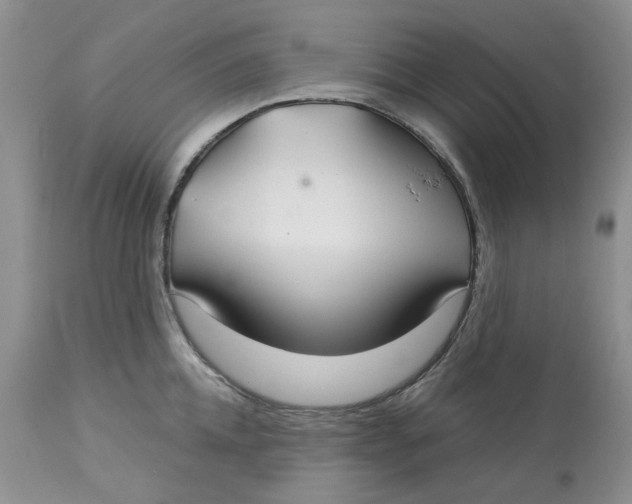 X0000113180952200909251438