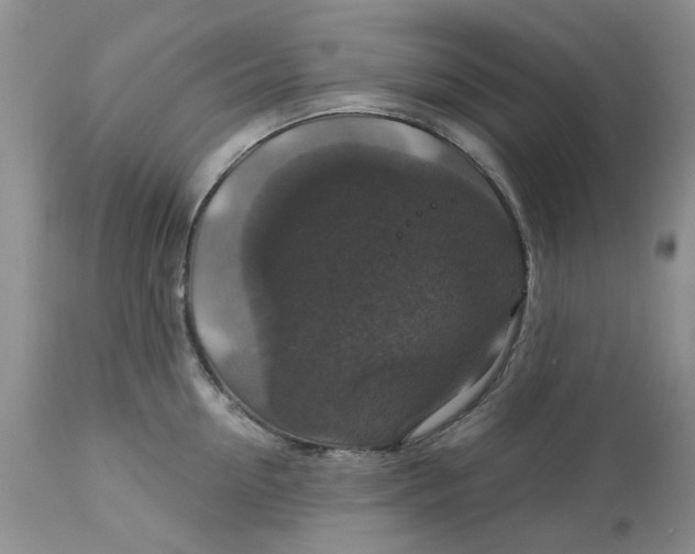 X0000113180954200909251438