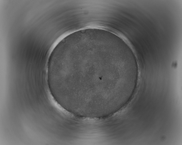 X0000113180955200909251438