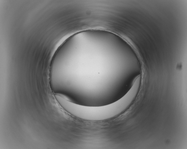 X0000113180956200909251438