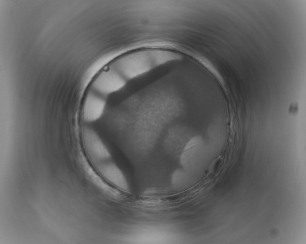 X0000113180959200909251438