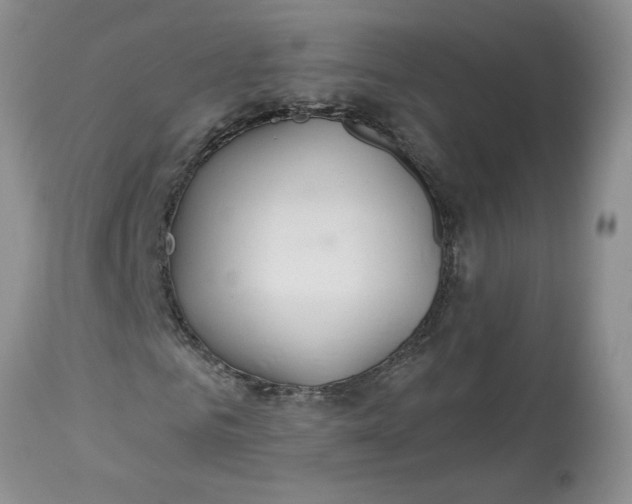 X0000113180961200909251437