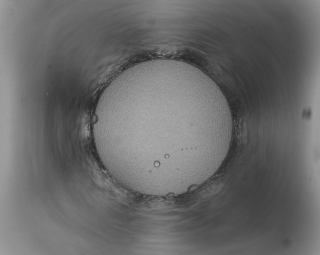X0000113180962200909251437