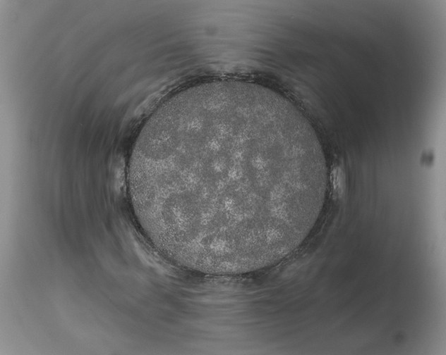 X0000113180963200909251437