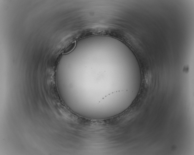X0000113180964200909251437