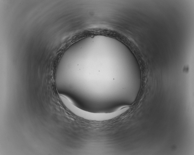 X0000113180965200909251437