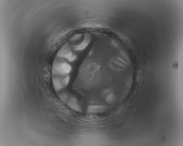 X0000113180966200909251437