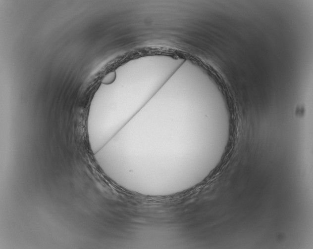 X0000113180968200909251437