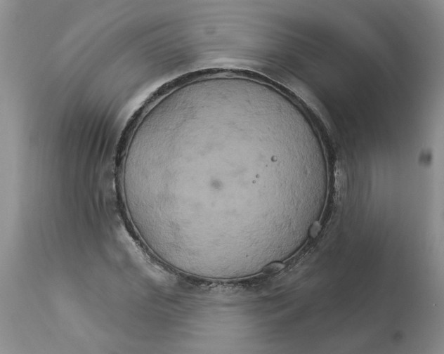 X0000113180972200909251437
