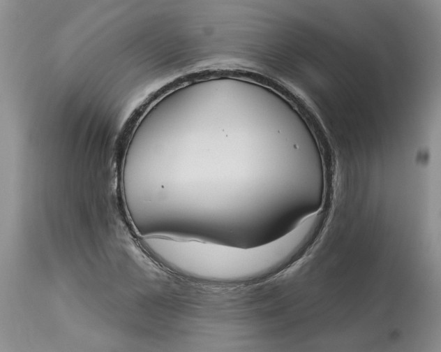 X0000113180973200909251437