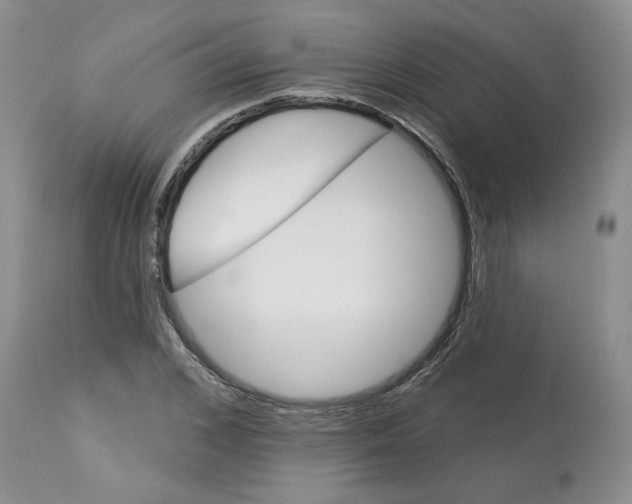 X0000113180976200909251437