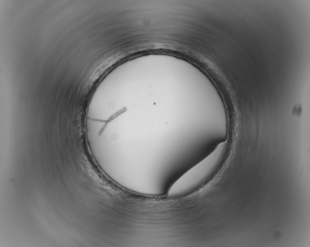 X0000113180977200909251437