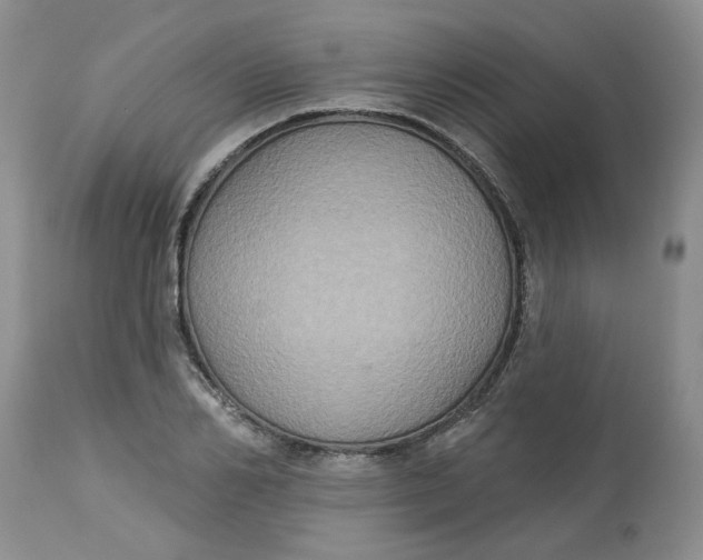 X0000113180982200909251437