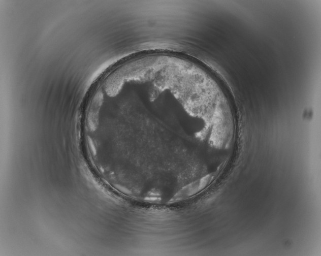 X0000113180983200909251437