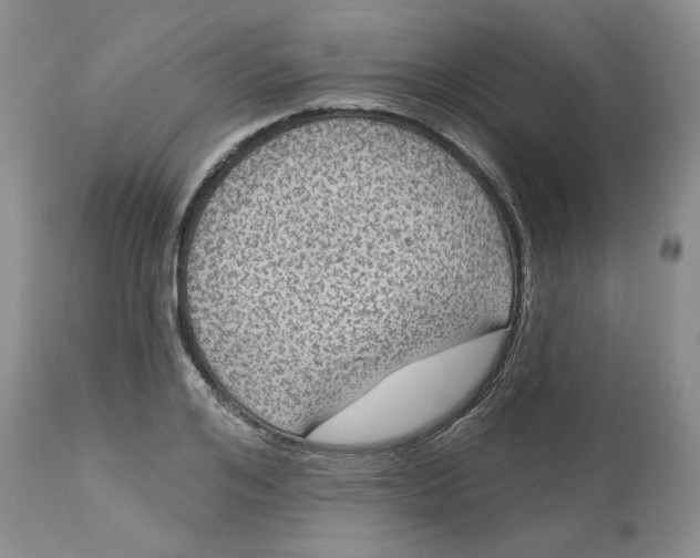 X0000113180984200909251437