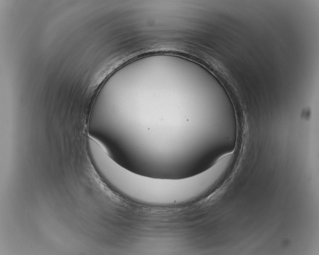 X0000113180985200909251437