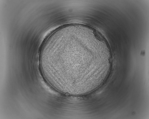 X0000113180987200909251437