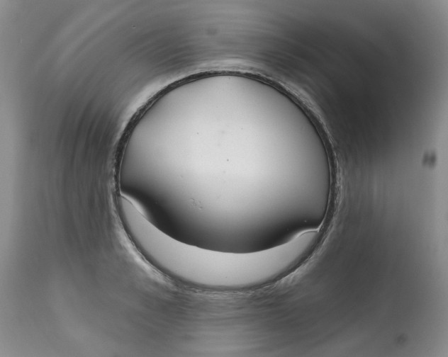 X0000113180989200909251437