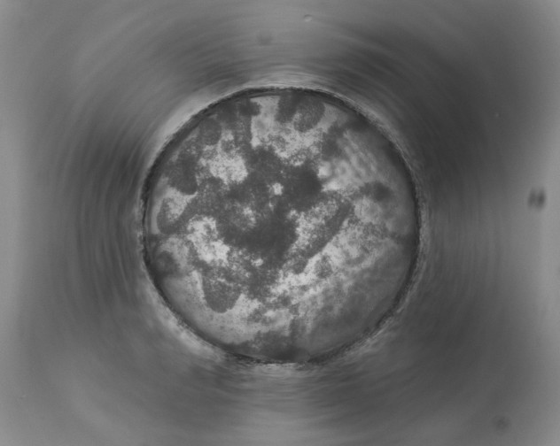 X0000113180990200909251437