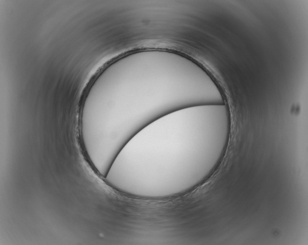X0000113180992200909251437