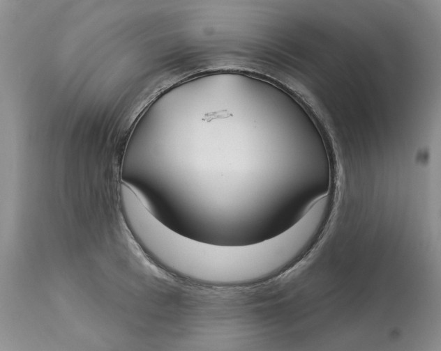 X0000113180993200909251437