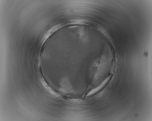 X0000113180994200909251437