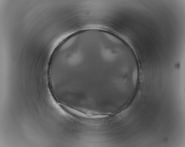 X0000113180995200909251437