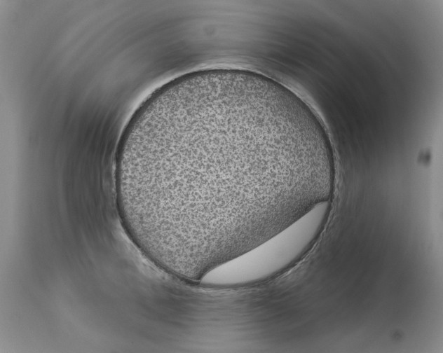 X0000113180996200909251437