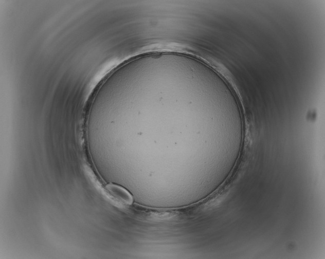 X0000113180997200909251437