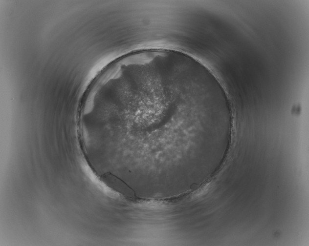 X0000113180998200909251437