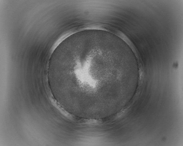 X0000113181002200909251437