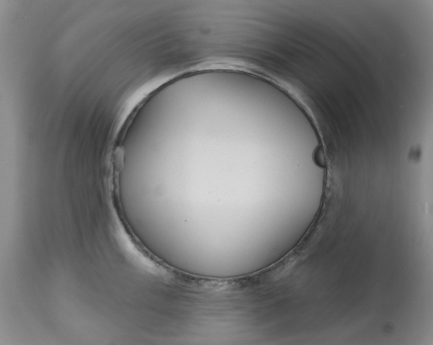 X0000113181003200909251437