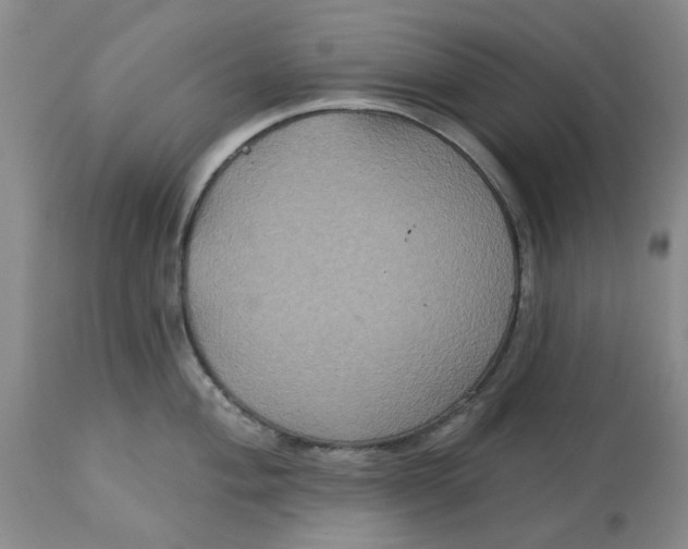 X0000113181004200909251437