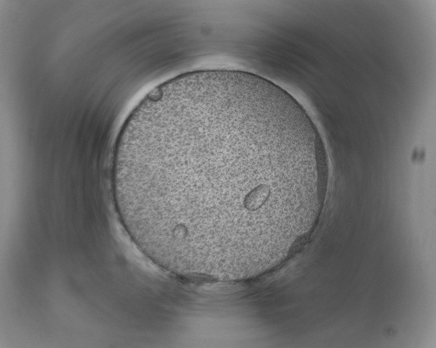 X0000113181008200909251437
