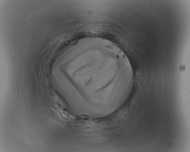 X0000113181009200909251436