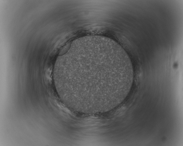 X0000113181010200909251436