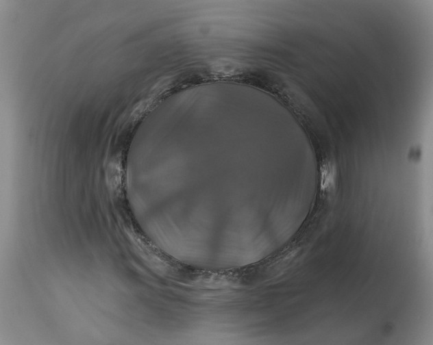 X0000113181011200909251436