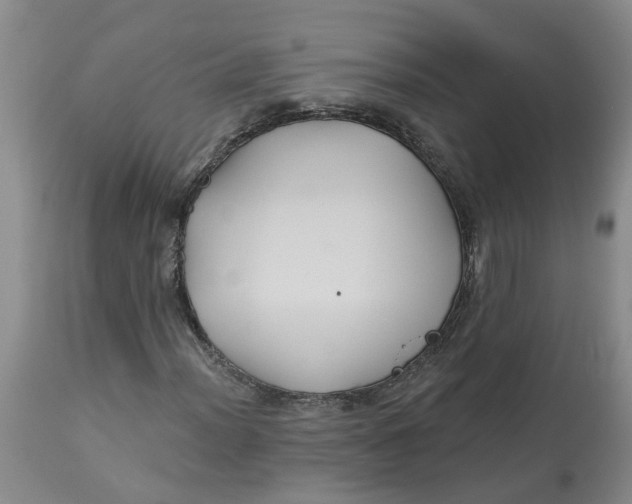 X0000113181012200909251436