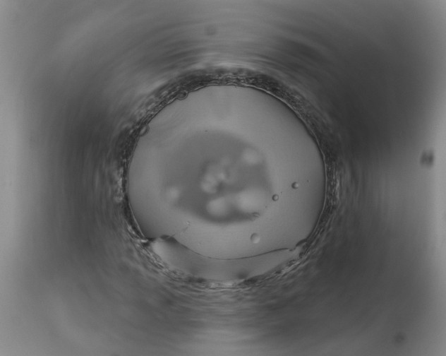 X0000113181013200909251436